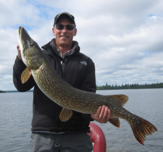 Enormous Northern Pike Catch in Fishing Boat